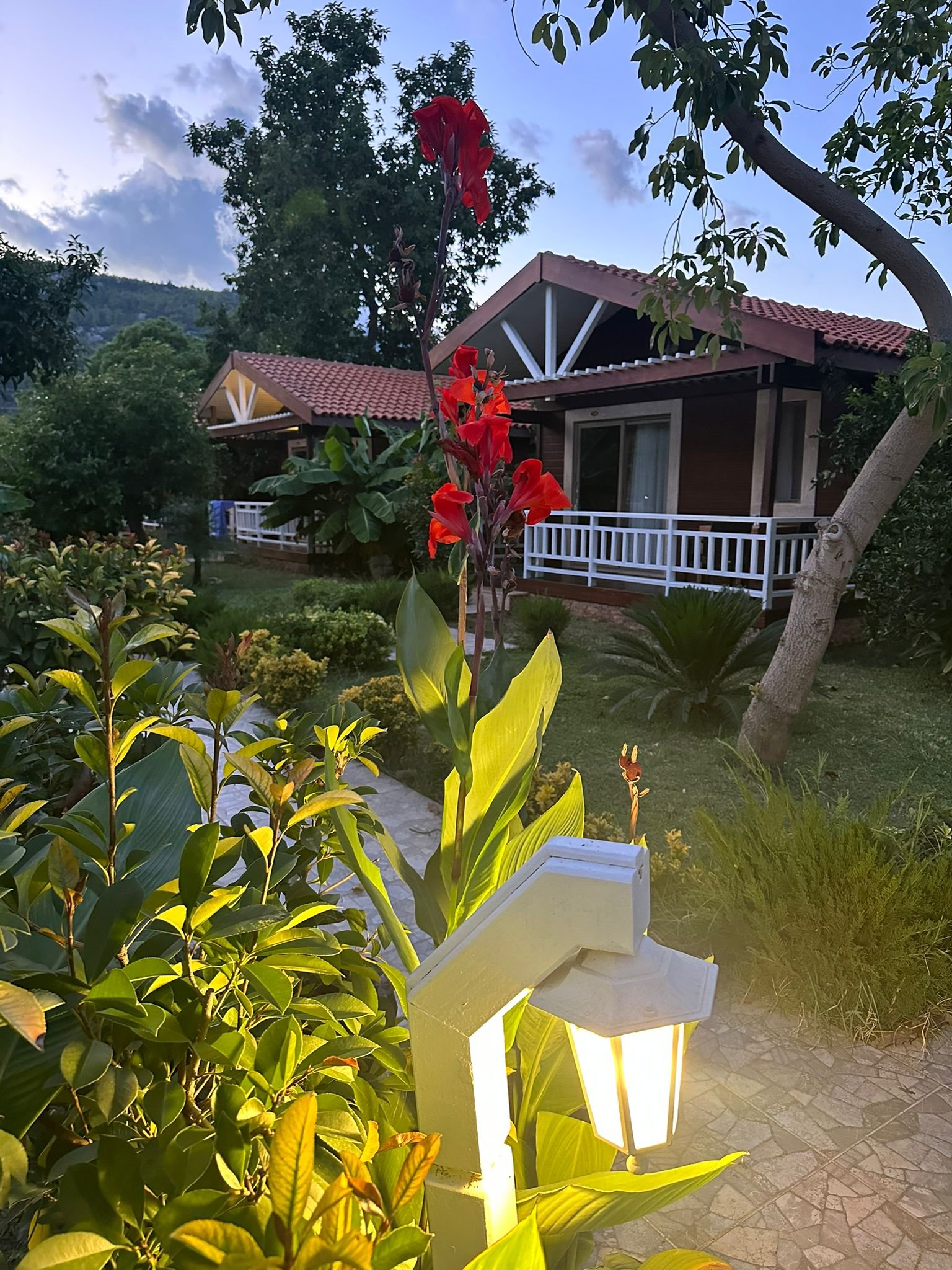 Garden bungalow at sunset