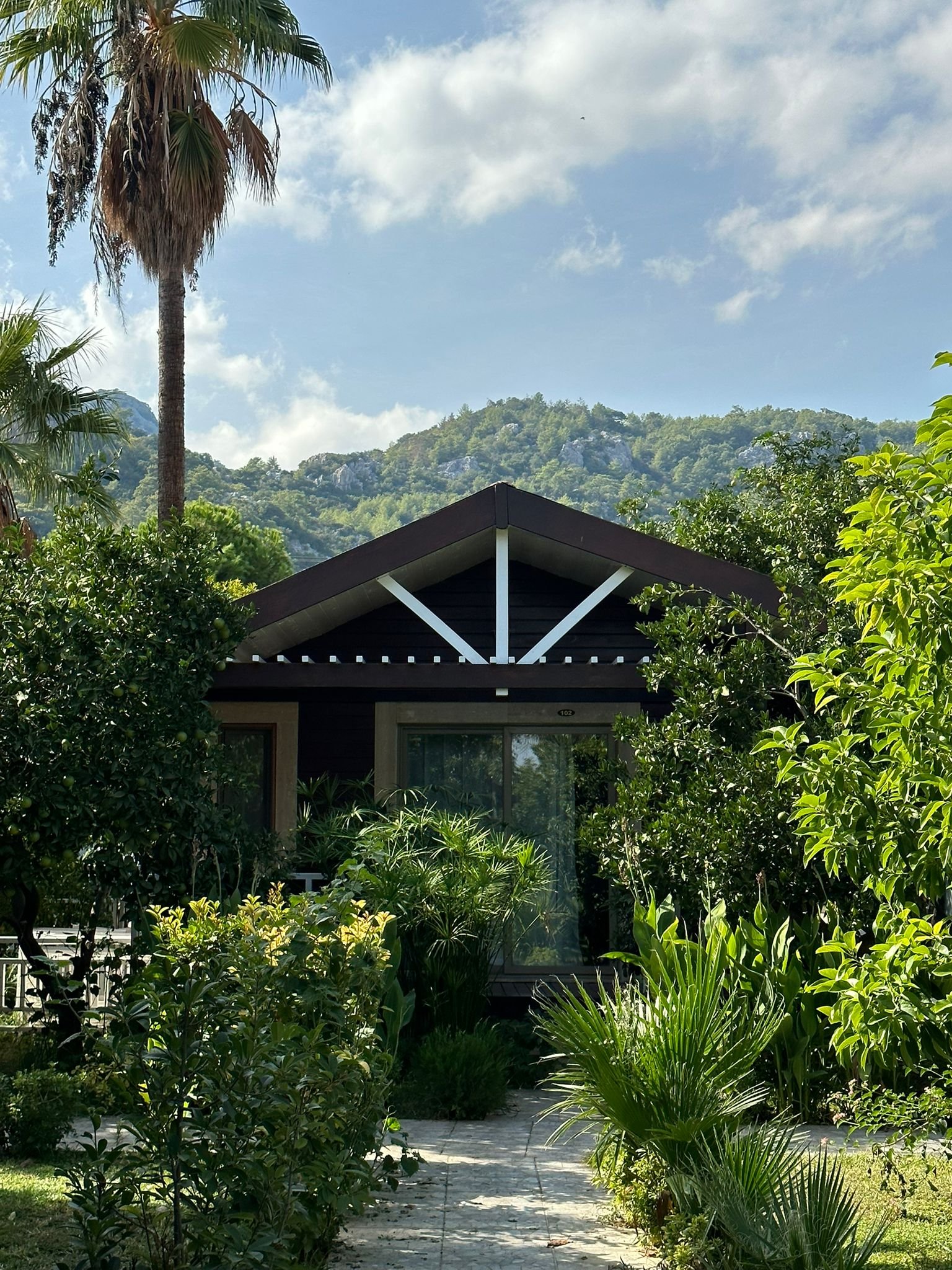 Mountain view with palm trees